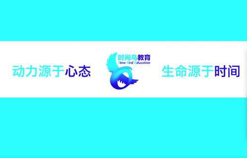 南京時間鳥教育咨詢 引領未來，成就卓越